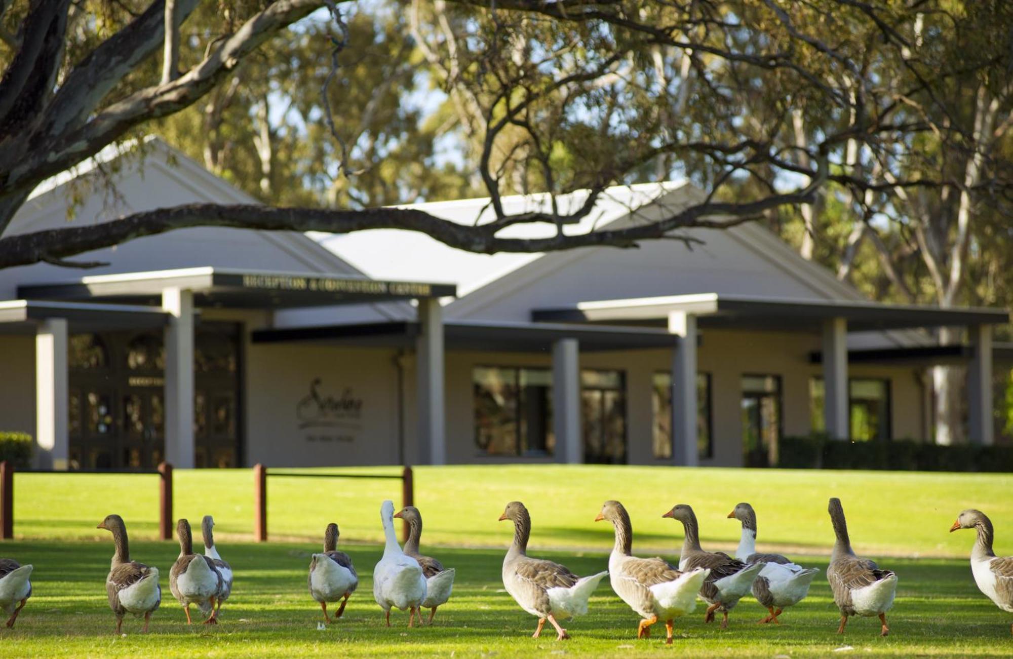 Serafino Mclaren Vale Dış mekan fotoğraf