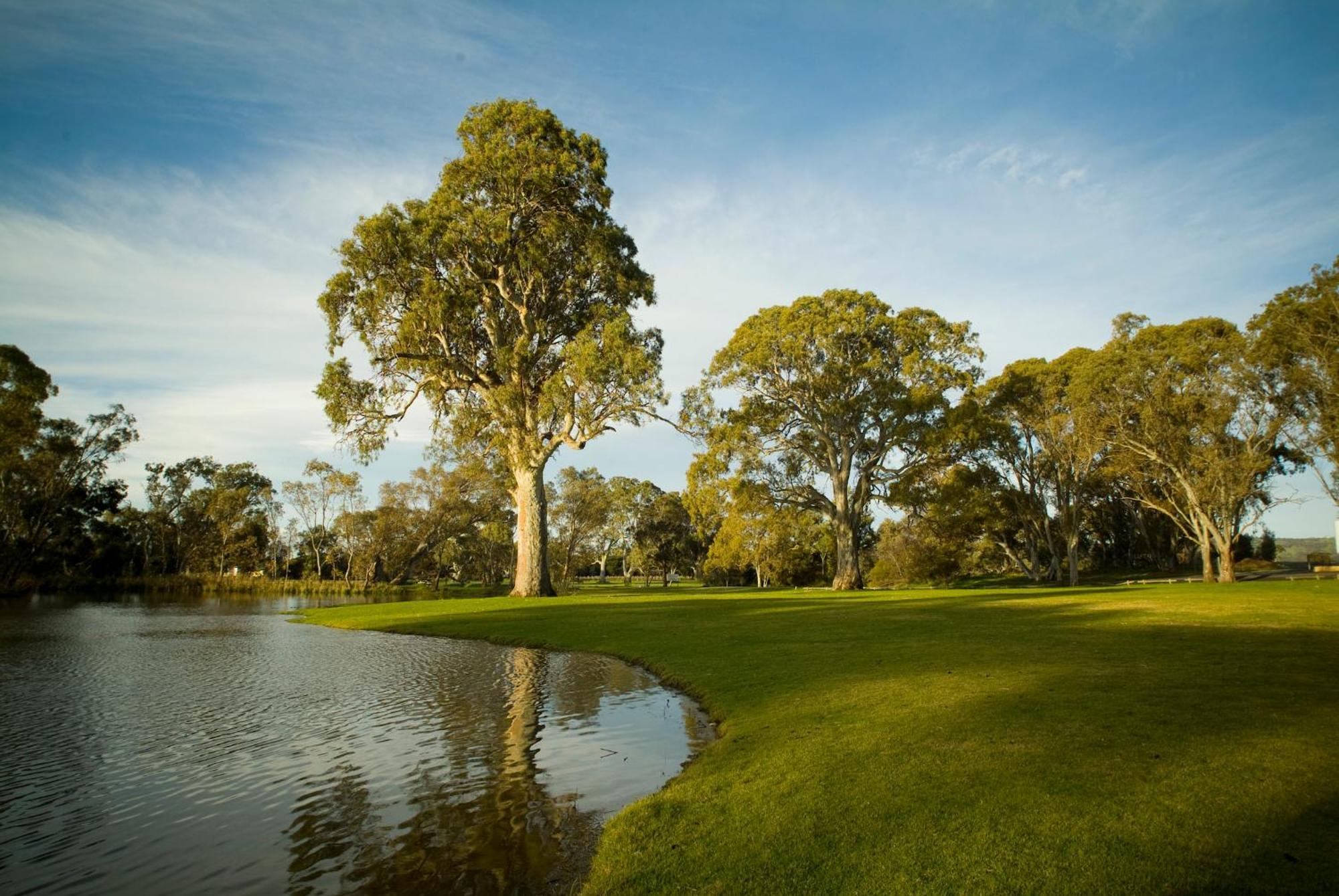 Serafino Mclaren Vale Dış mekan fotoğraf