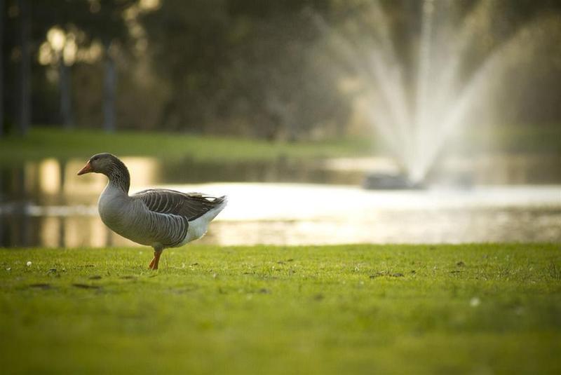 Serafino Mclaren Vale Dış mekan fotoğraf